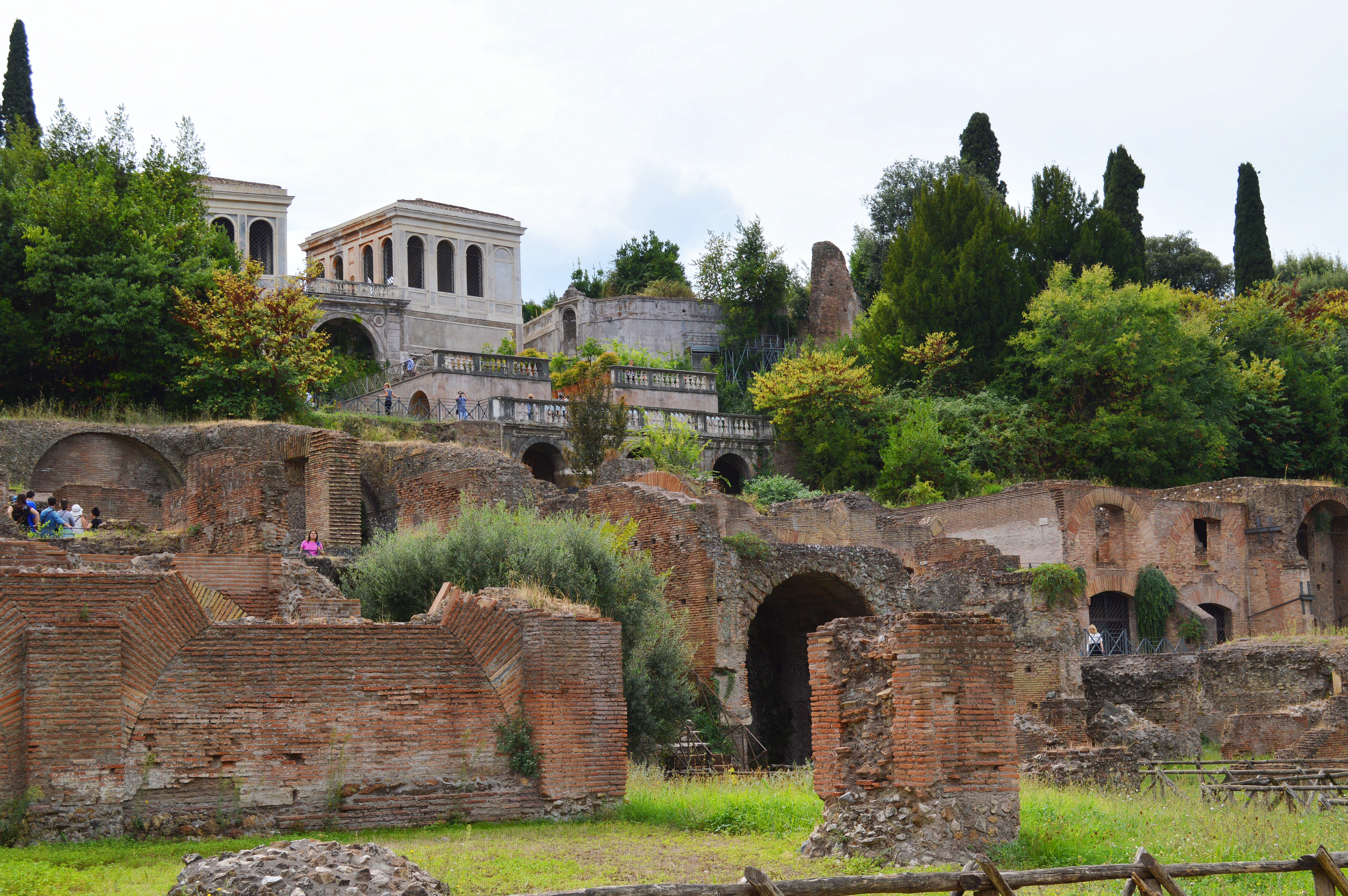 the-palatino-as-seen-from-the-forum