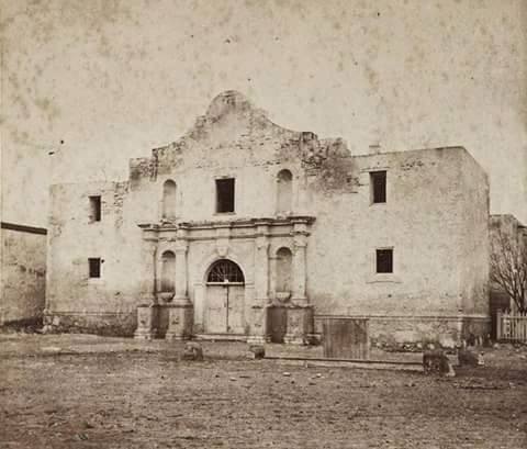 The Alamo