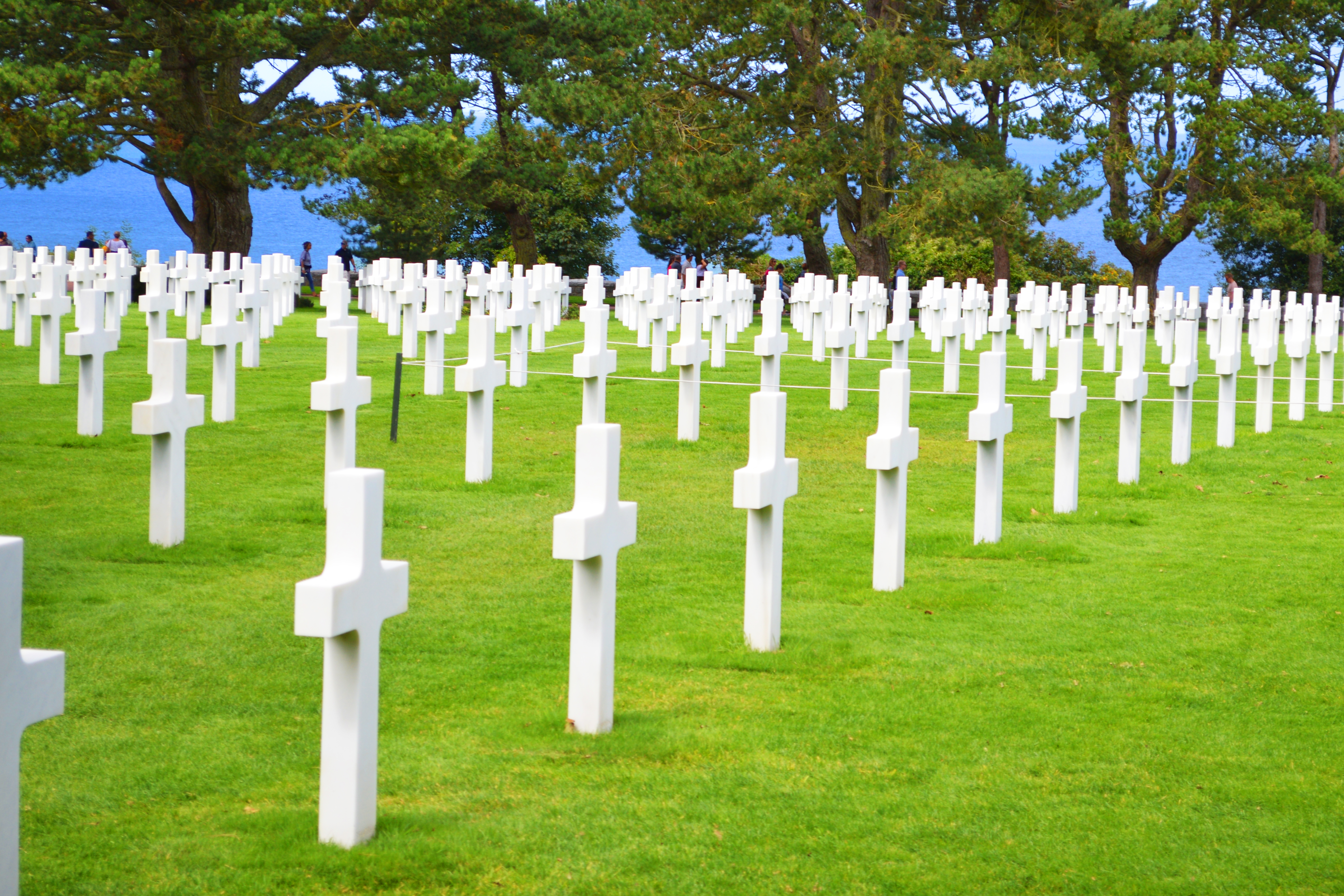 So many of our young gave so much for many others two